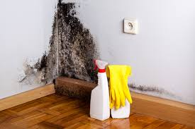 Best Real Estate Mold Inspection  in London, CA